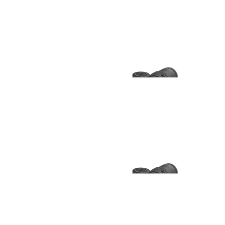 Vector Optics Veyron 6-24x44IR SFP kompakti kiväärin kiikaritähtäin